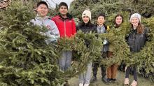 Scouts with trees